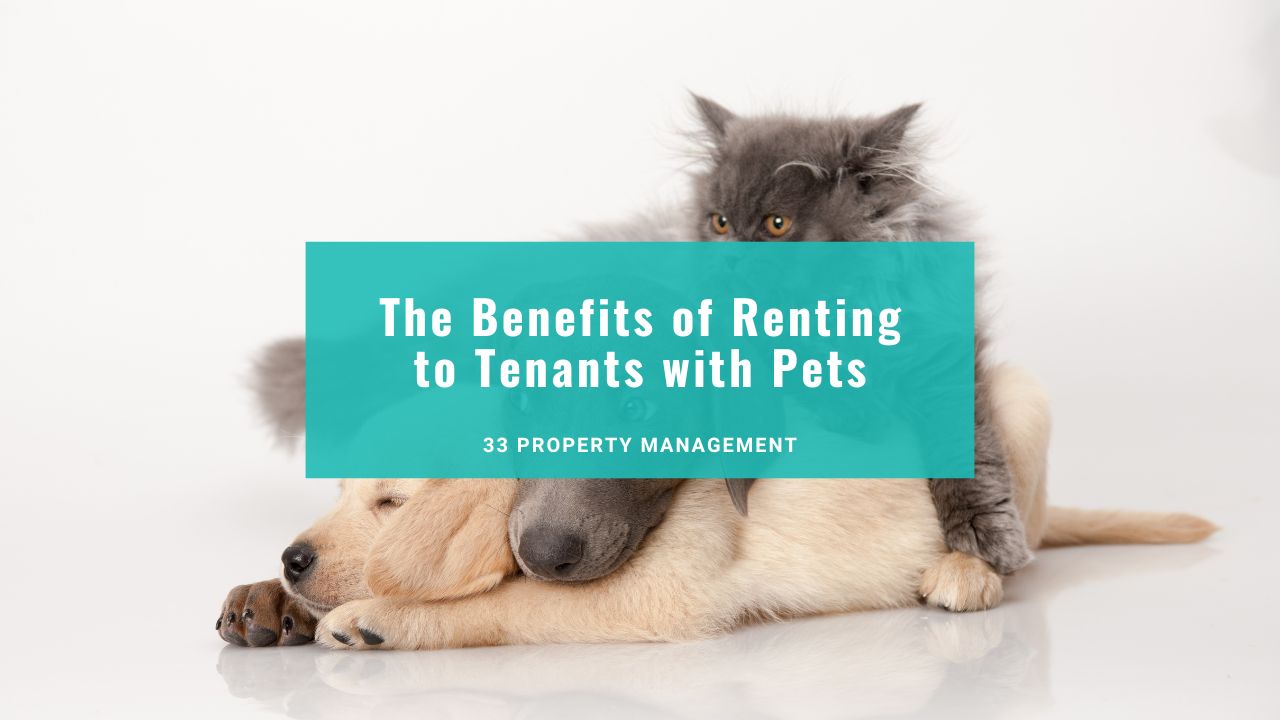 The Benefits of Renting to Tenants with Pets